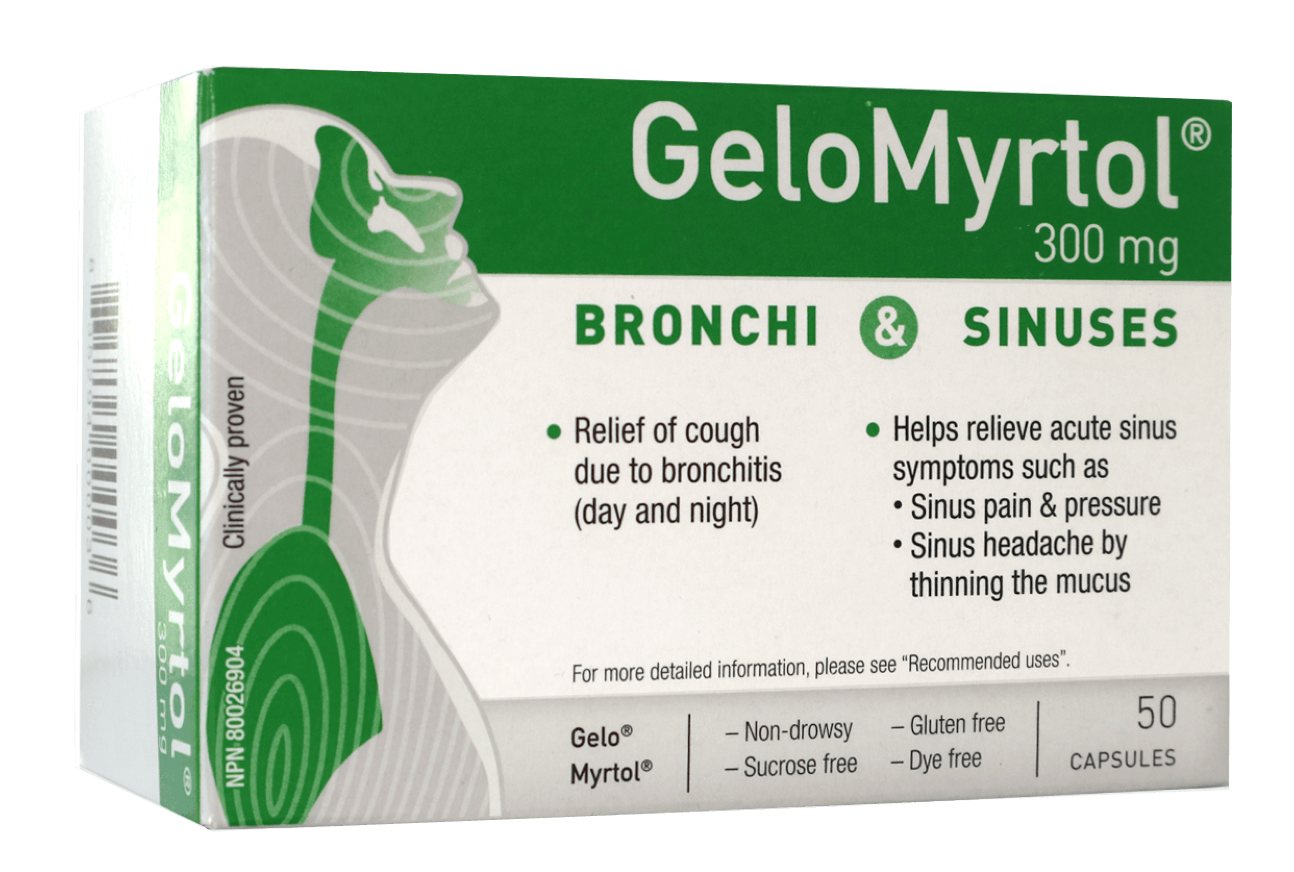 GeloMyrtol box. The box is green and white. It shows the GeloMyrtol logo and the name of the product. It also features an illustration of a person breathing with their respiratory system in green.